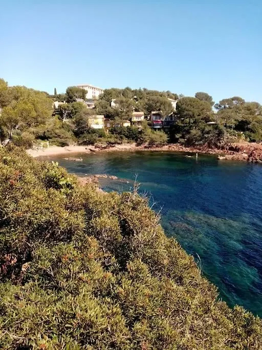 Les Orangers De Santa Lucia, Vue Mer Et Port, St Raphael Saint-Raphael